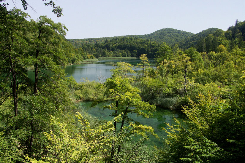Obraz 100